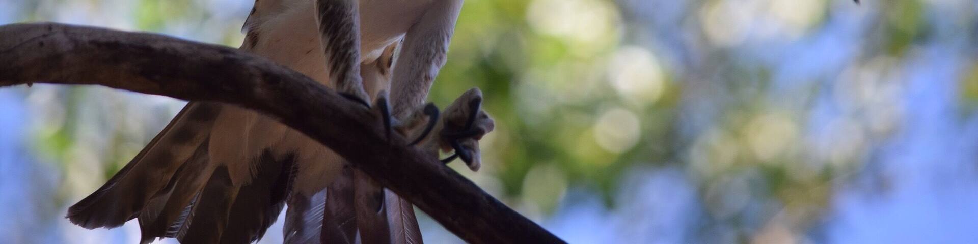 Getaway from Darwin to learn a lot about Australian animals.
Perfect place to spend one day with your family.
#kidsfun