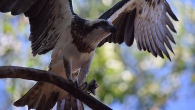 Getaway from Darwin to learn a lot about Australian animals.
Perfect place to spend one day with your family.
#kidsfun