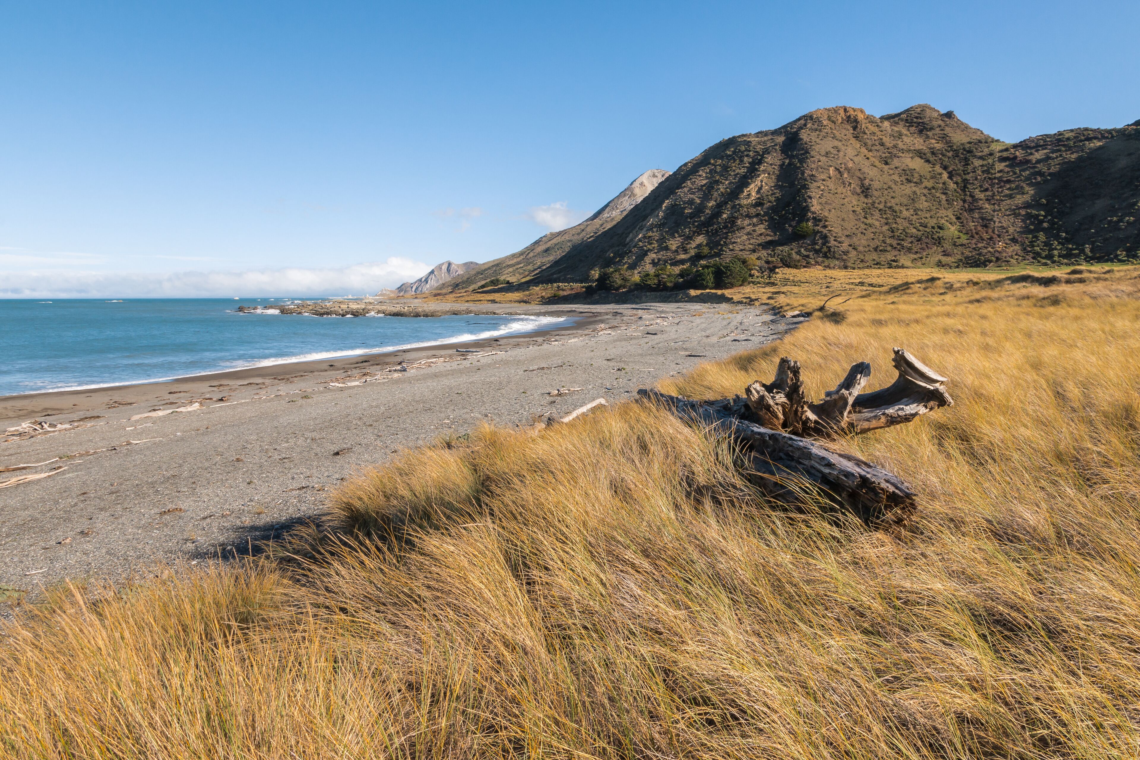 A beach with a large log, grassy dunes, and a mountain in the background.