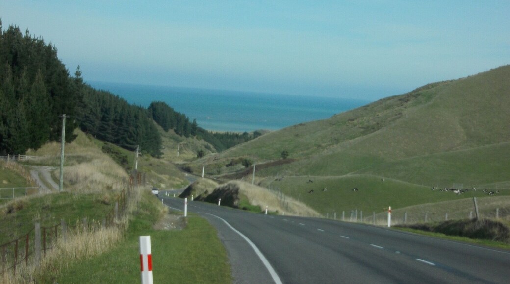 I see the Pacific Ocean!!!