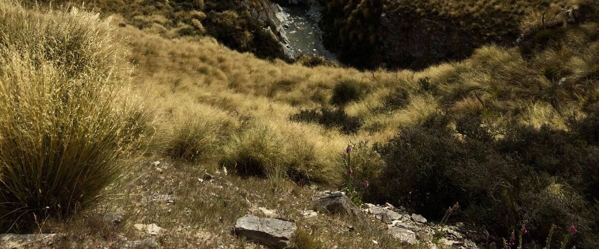 A rugged landscape with rolling hills, a small stream, and power lines in the distance.