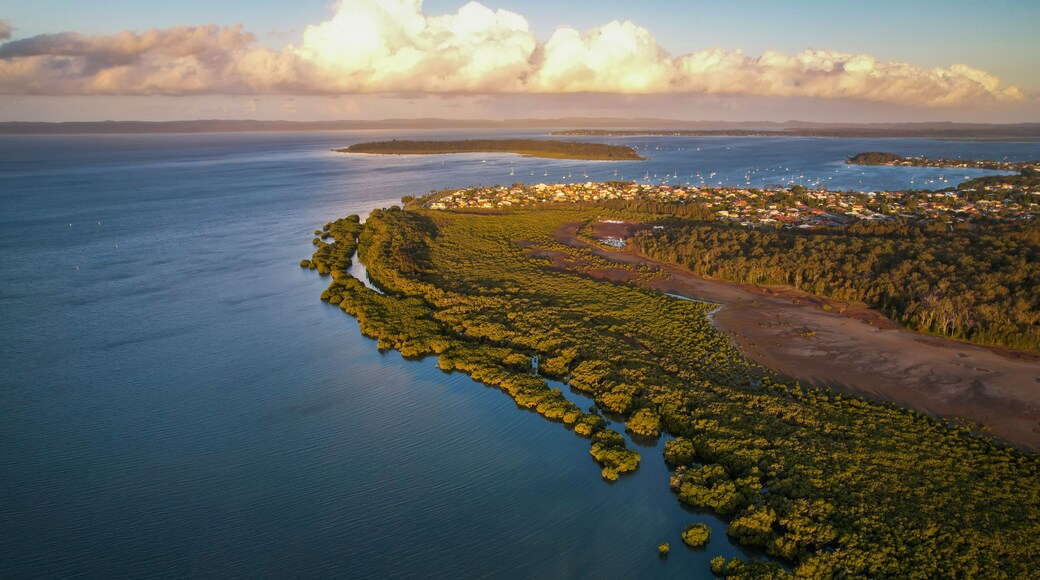 Aerial view of lush forest and mangroves along the coast of Moreton Bay, Coochiemudlo Island, Victoria Point, Brisbane, Queensland, Australia.