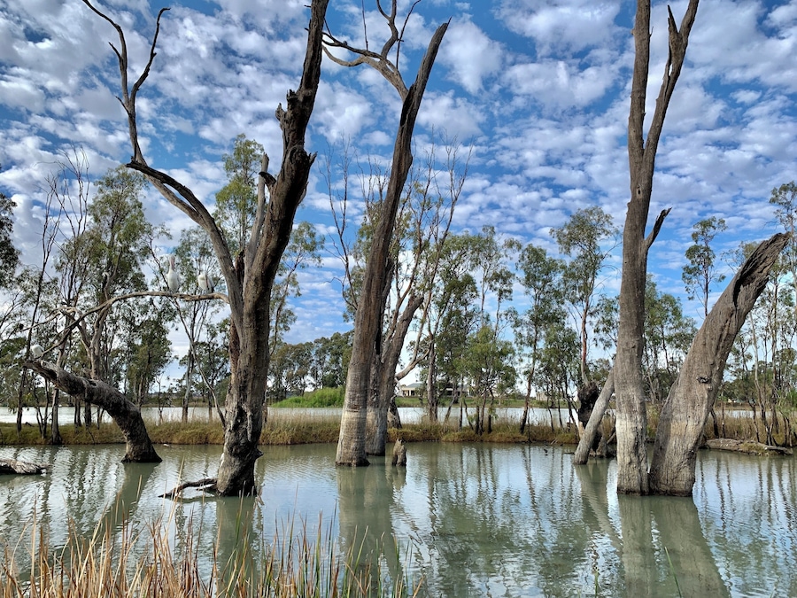 On the Murray River
