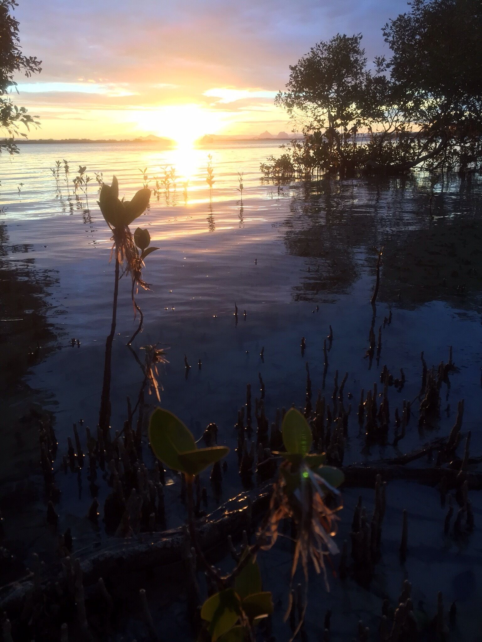 Another bribe sunset 