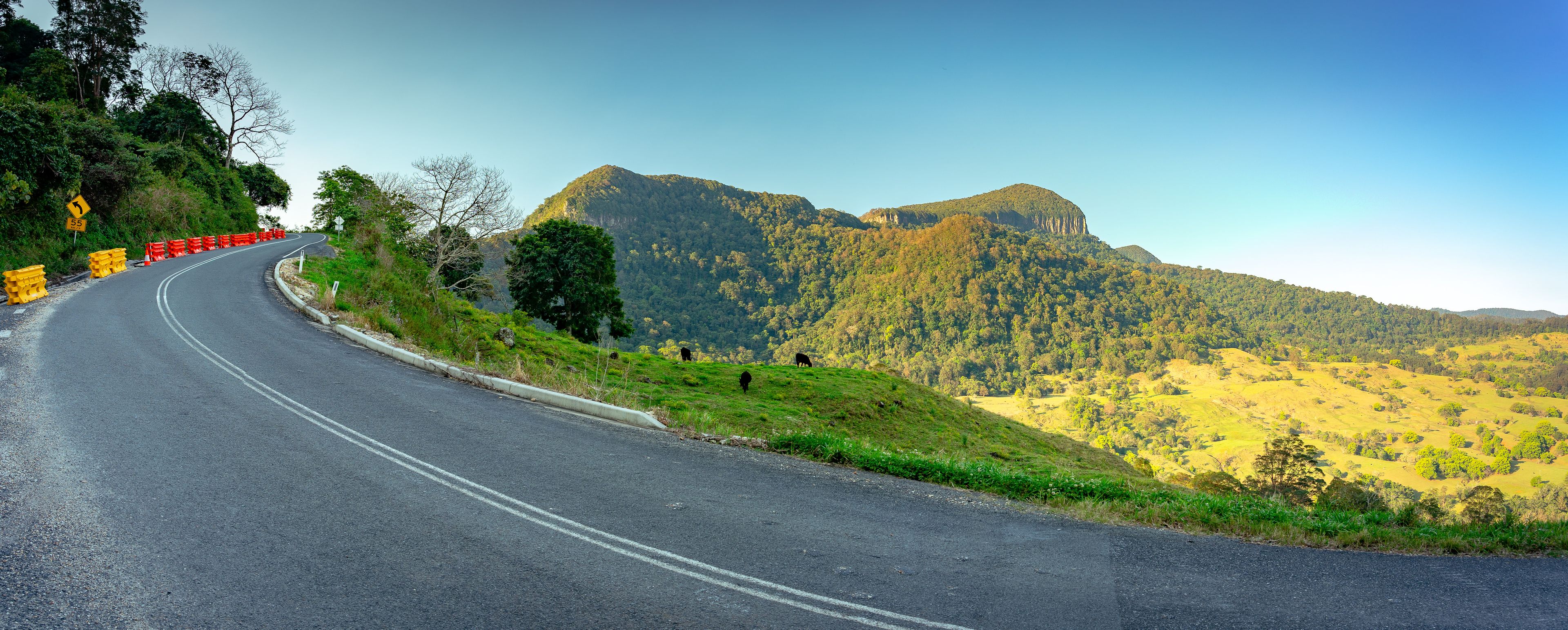 Picturesque road along the Numinbah Rd, NSW, Australia