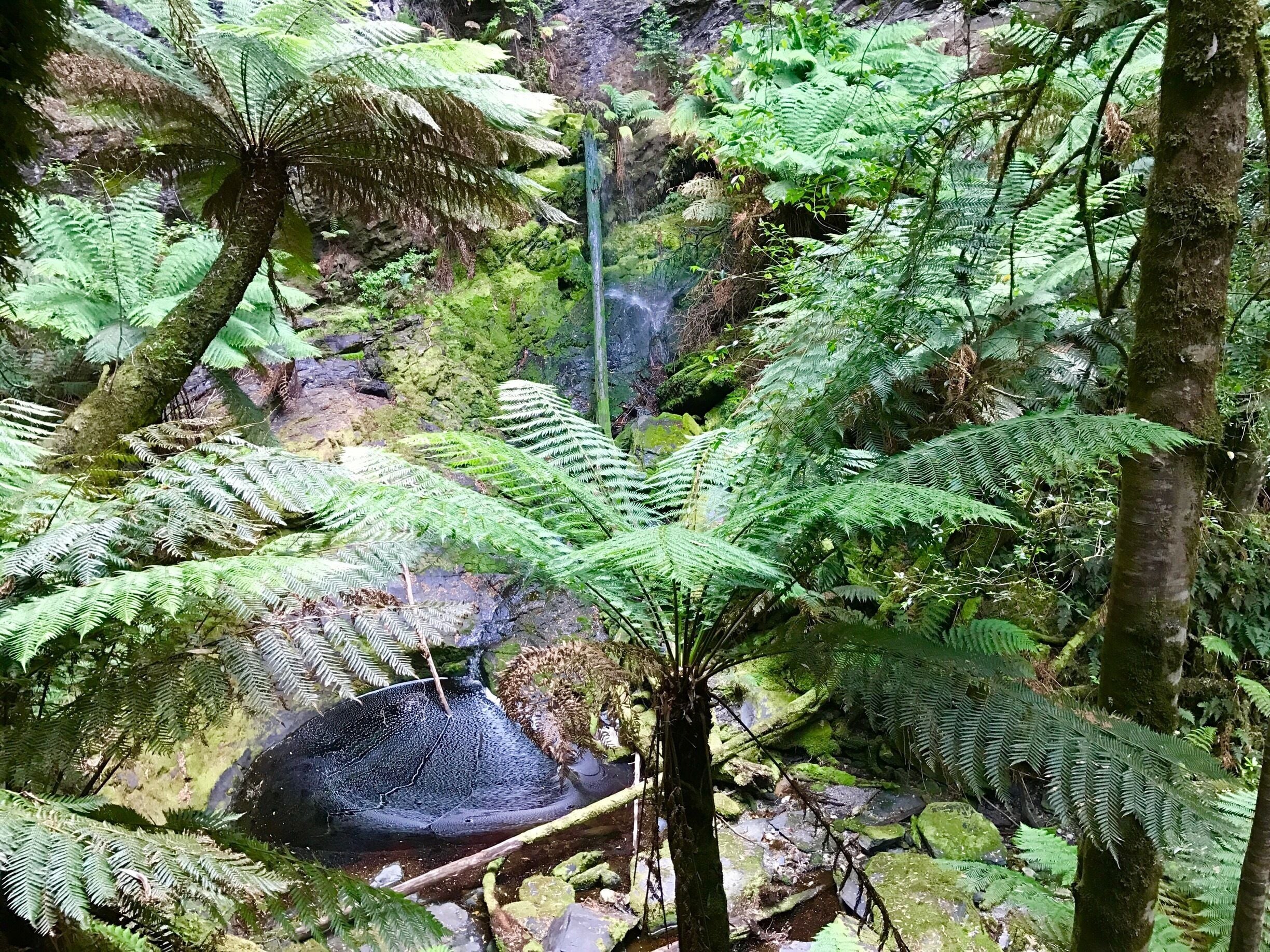 Lover's Falls. A tranquil spot amongst the magnificence of the Tarkine rainforest. Reached by boat or kayak along the Pieman River on Tasmania's wild West coast. #wilderness #hiking #worldheritage #rainforest #waterfall
