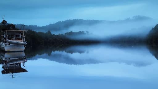 In the western wilderness of Tasmania in Australia, there is a remote historic mining town which is rather beautiful and peaceful, named Corinna. It is the gateway to the Tarkine - second largest temperate rainforest in the world. I went there in a winter break, and pitched my tent (was the only tent there) just in front of this river - Pieman River (quite like the name). Almost after the gold sunset, fog started rising from the surface of Pieman River. Then, the whole tone went so #Blue! Everything was just right!
However, the second day, when I rented a kayak to explore surroundings by river, a tourism board caught my attention. It WAS nothing rather than description of this place, BUT this river turns out to be named after a convict who bacause of his repeated CANNIBALISM!!!! In the year of 1822, the convict Alexander Oearce finally recaptured, after few escapes, with bits of Thomas Cox's (another convict he escaped with) hands and fingers in his pockets. Even though I was horrified by this plausible true story, I finished reading the story with disgust for Pieman River.
Since I have already paied for the rental of a kayak, I figured that I have to go into the Pieman River with a sense of disgust. Fortunitely, the scenery was simply so great that I left behind that horribly inhuman story.
