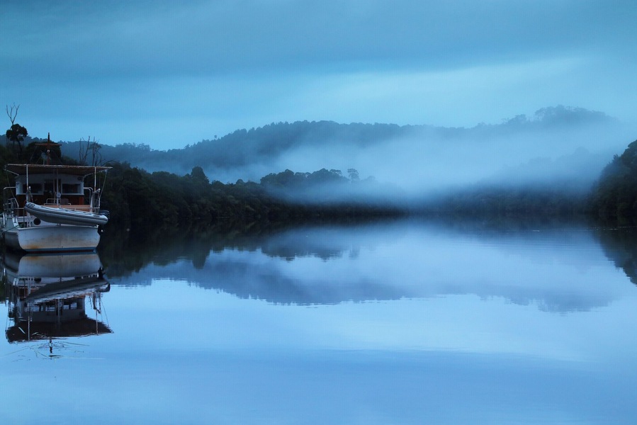In the western wilderness of Tasmania in Australia, there is a remote historic mining town which is rather beautiful and peaceful, named Corinna. It is the gateway to the Tarkine - second largest temperate rainforest in the world. I went there in a winter break, and pitched my tent (was the only tent there) just in front of this river - Pieman River (quite like the name). Almost after the gold sunset, fog started rising from the surface of Pieman River. Then, the whole tone went so #Blue! Everything was just right!
However, the second day, when I rented a kayak to explore surroundings by river, a tourism board caught my attention. It WAS nothing rather than description of this place, BUT this river turns out to be named after a convict who bacause of his repeated CANNIBALISM!!!! In the year of 1822, the convict Alexander Oearce finally recaptured, after few escapes, with bits of Thomas Cox's (another convict he escaped with) hands and fingers in his pockets. Even though I was horrified by this plausible true story, I finished reading the story with disgust for Pieman River.
Since I have already paied for the rental of a kayak, I figured that I have to go into the Pieman River with a sense of disgust. Fortunitely, the scenery was simply so great that I left behind that horribly inhuman story.