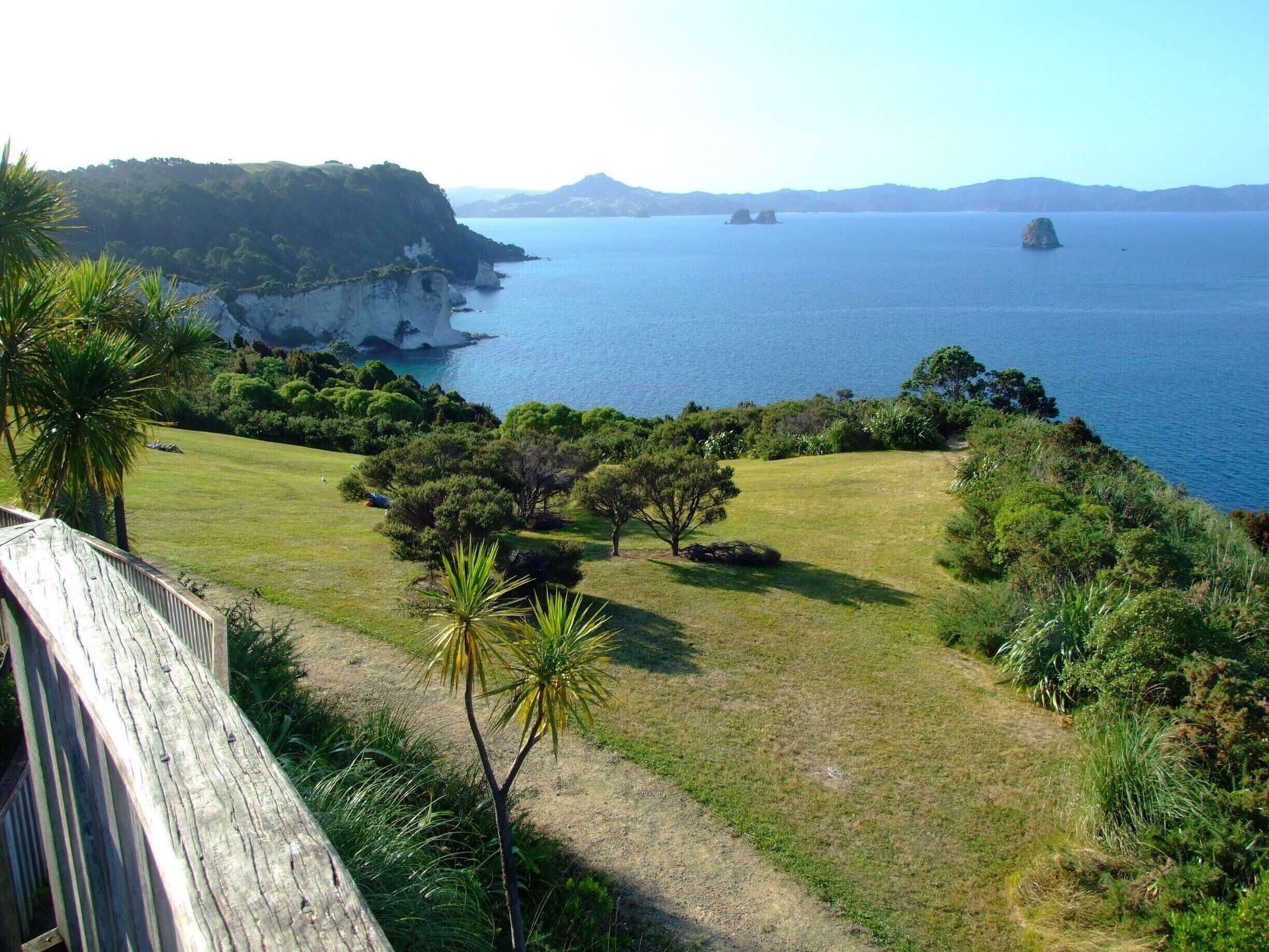Cathedral Cove, named for its cathedral like arch through the limestone cliff, is a popular destination, only accessible by boat or on foot.
This picture represents a nice view on our foot walk to Cathedral Cove.
#roadtrip
#hiking