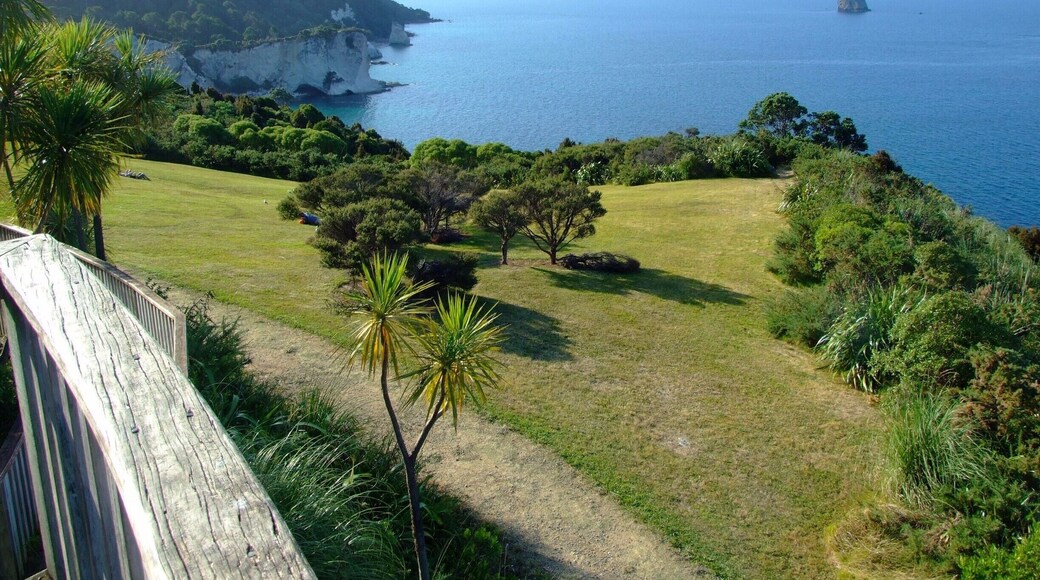 Cathedral Cove, named for its cathedral like arch through the limestone cliff, is a popular destination, only accessible by boat or on foot.
This picture represents a nice view on our foot walk to Cathedral Cove.
#roadtrip
#hiking