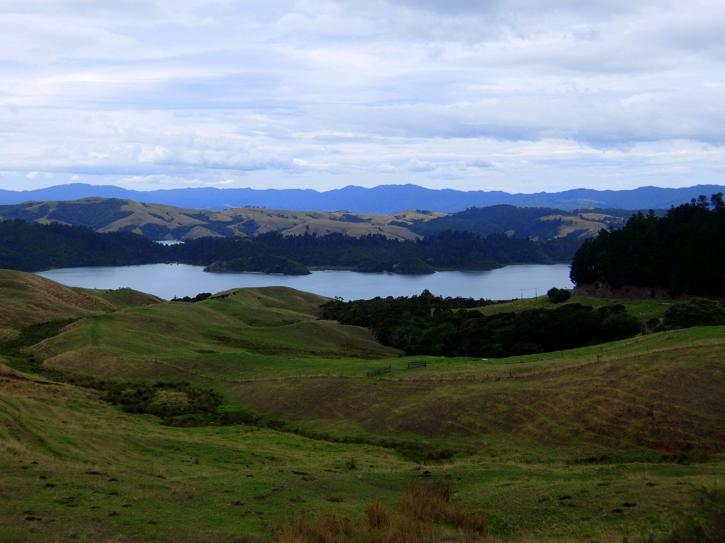 We came across this amazing view while driving on the main road along the Coromandel Peninsula.
