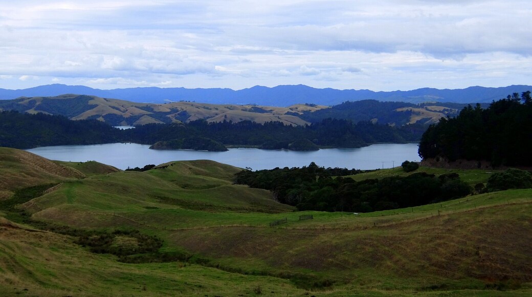 We came across this amazing view while driving on the main road along the Coromandel Peninsula.