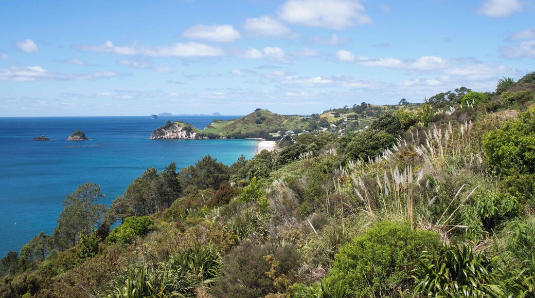 Coromandel Peninsula was one the highlights of our sightseeing around New Zealand. The nature in New Zealand is amazing all around, but the Coromandel Peninsula might have the most beautiful scenery with clear sea coves and lush temperate rainforests.