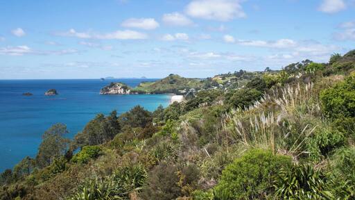 Coromandel Peninsula was one the highlights of our sightseeing around New Zealand. The nature in New Zealand is amazing all around, but the Coromandel Peninsula might have the most beautiful scenery with clear sea coves and lush temperate rainforests.