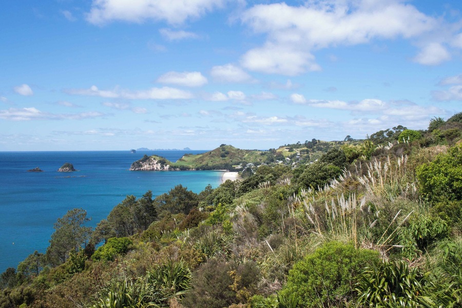 Coromandel Peninsula was one the highlights of our sightseeing around New Zealand. The nature in New Zealand is amazing all around, but the Coromandel Peninsula might have the most beautiful scenery with clear sea coves and lush temperate rainforests.