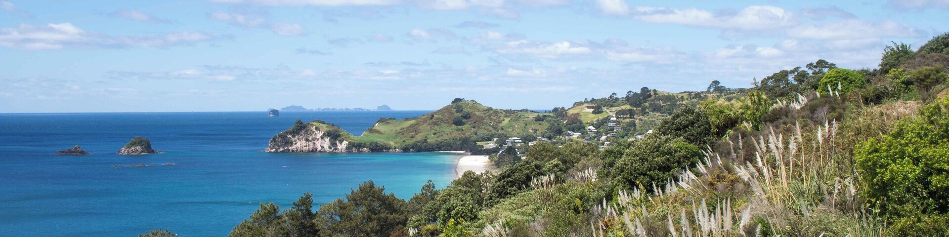 Coromandel Peninsula was one the highlights of our sightseeing around New Zealand. The nature in New Zealand is amazing all around, but the Coromandel Peninsula might have the most beautiful scenery with clear sea coves and lush temperate rainforests.