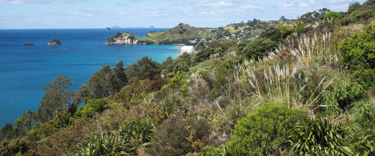 A coastal landscape with a beach, lush greenery, and clear blue waters.