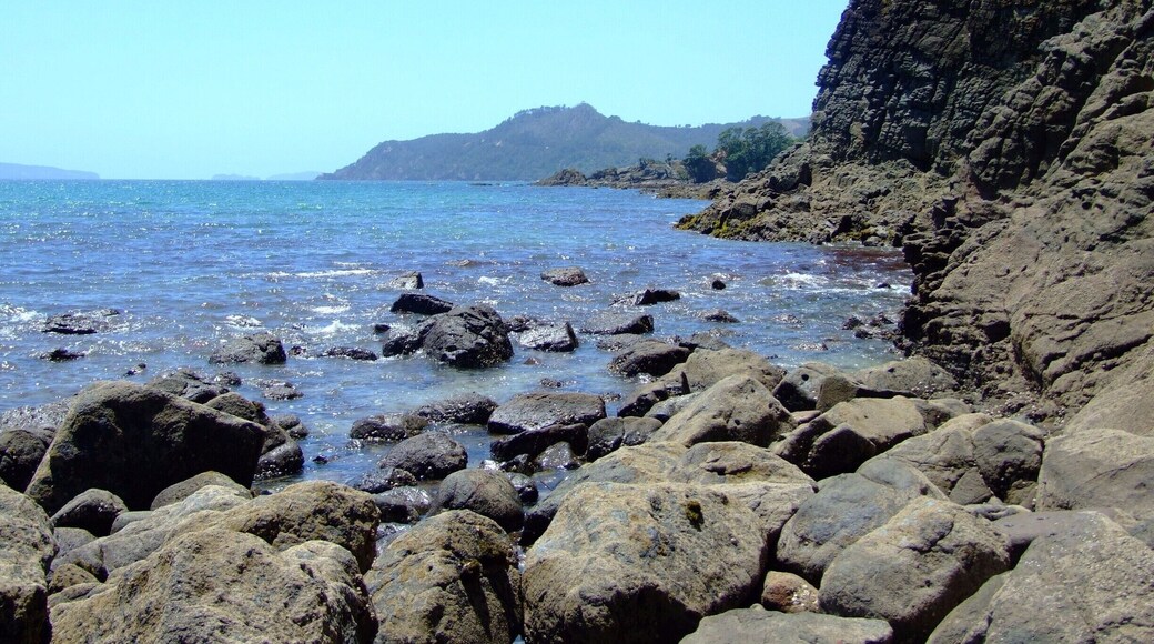 The Coromandel Peninsula on the North Island of New Zealand extends 85 kilometres north from the western end of the Bay of Plenty, forming a natural barrier to protect the Hauraki Gulf and the Firth of Thames in the west from the Pacific Ocean to the east.
#roadtrip
#roadtripphotochallenge