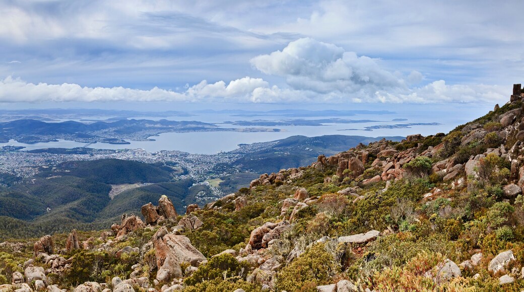 Hobart from Wellington Panorama