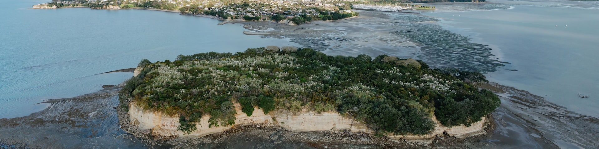 Motukaraka Island and the Hauraki Gulg in Beachlands, Auckland, New Zealand.