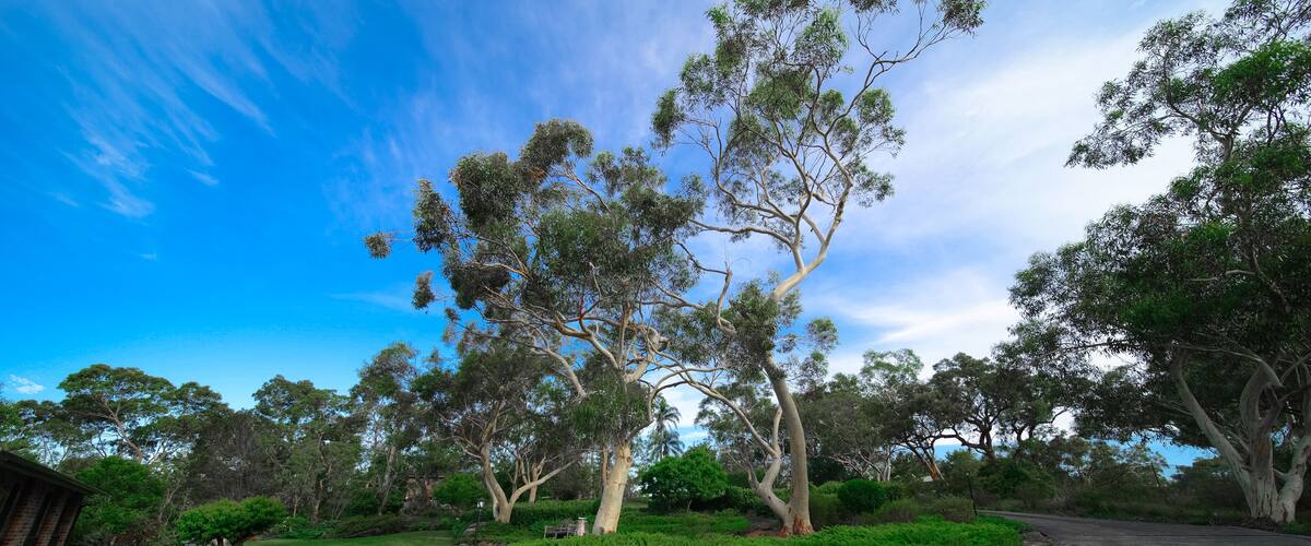Residential house in Dural a country suburb in Sydney NSW Australia with lush green trees and grass