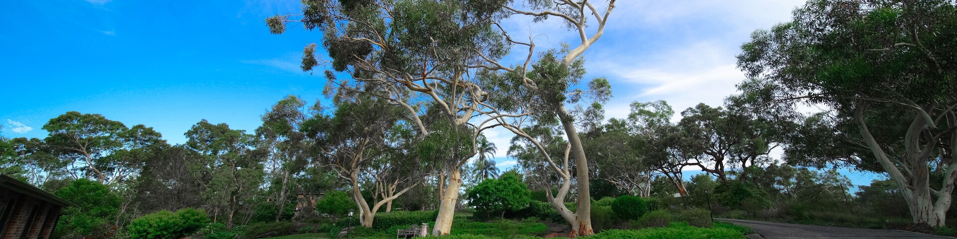 Residential house in Dural a country suburb in Sydney NSW Australia with lush green trees and grass