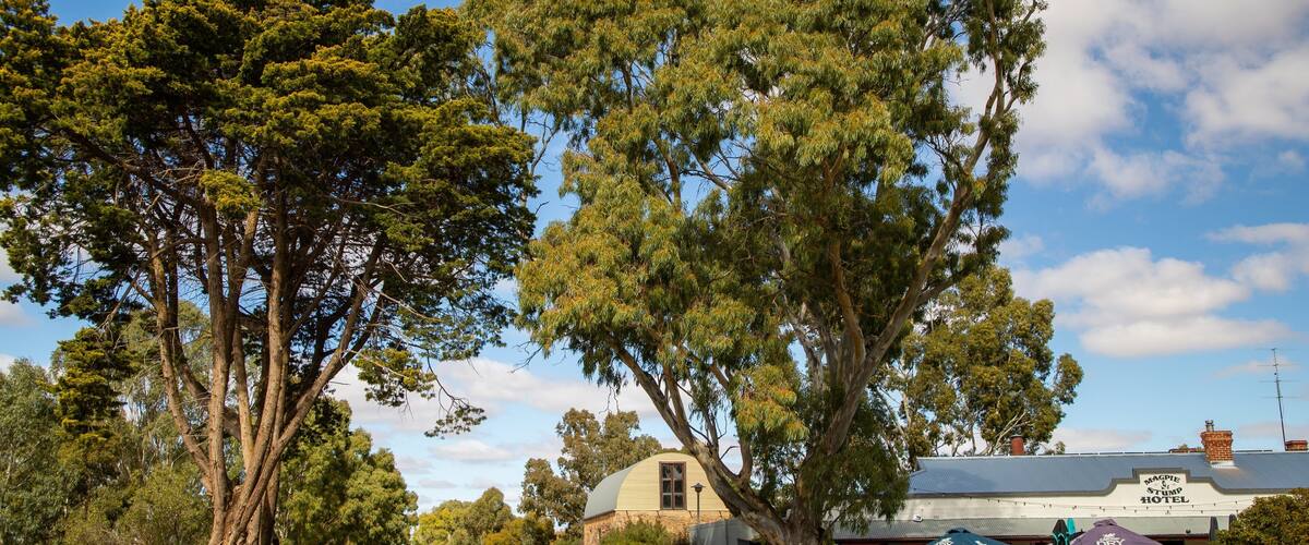 Mintaro featuring a small town or village