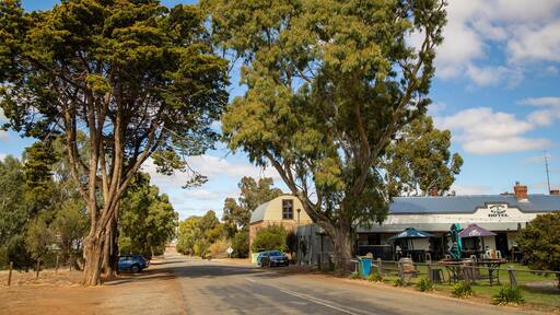 Mintaro featuring a small town or village