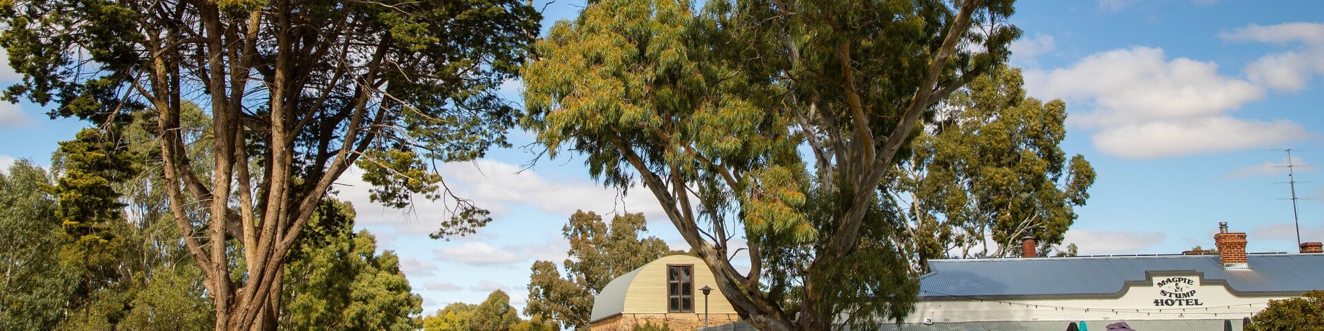 Mintaro featuring a small town or village