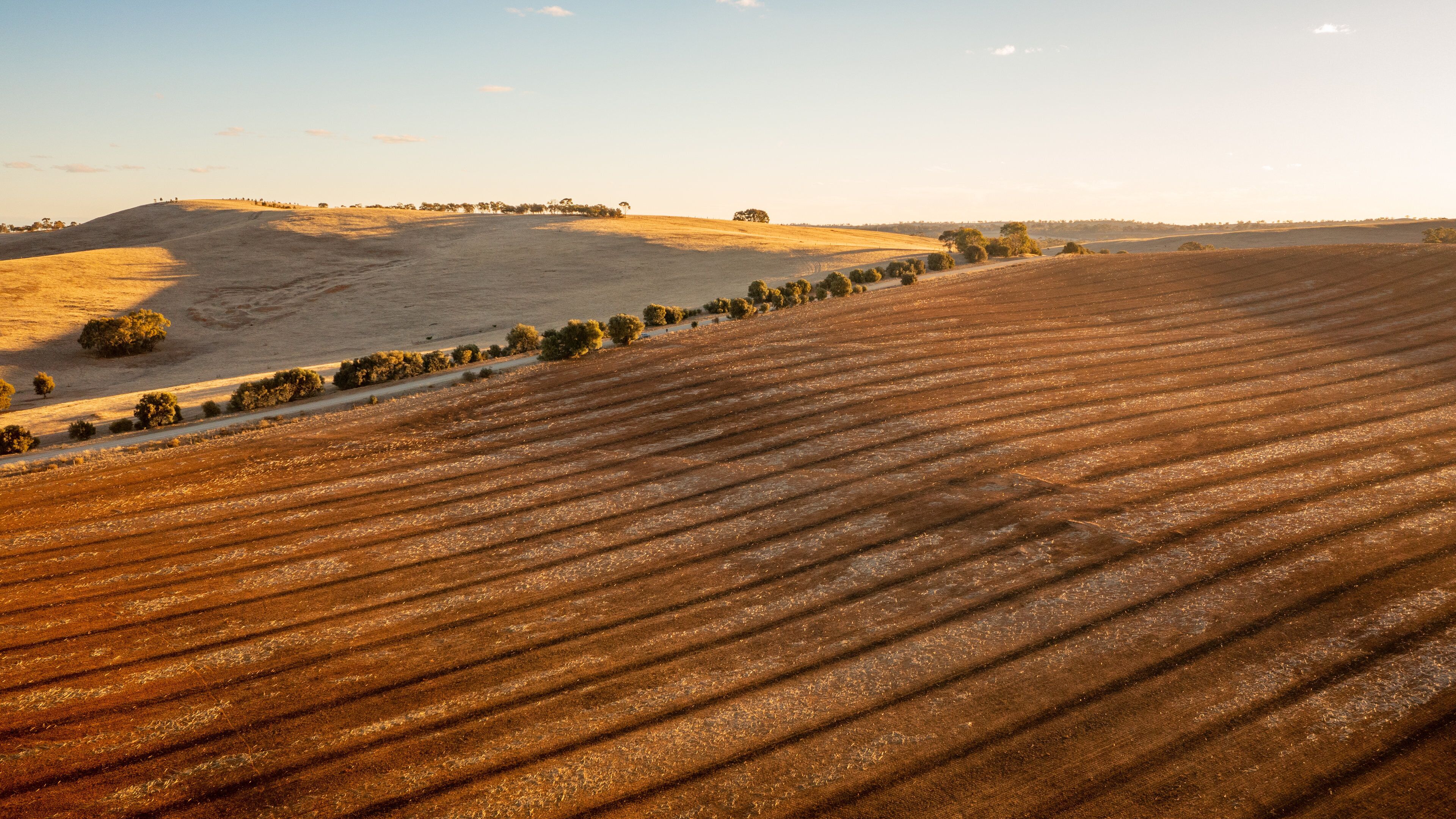 Mintaro which includes tranquil scenes, a sunset and farmland