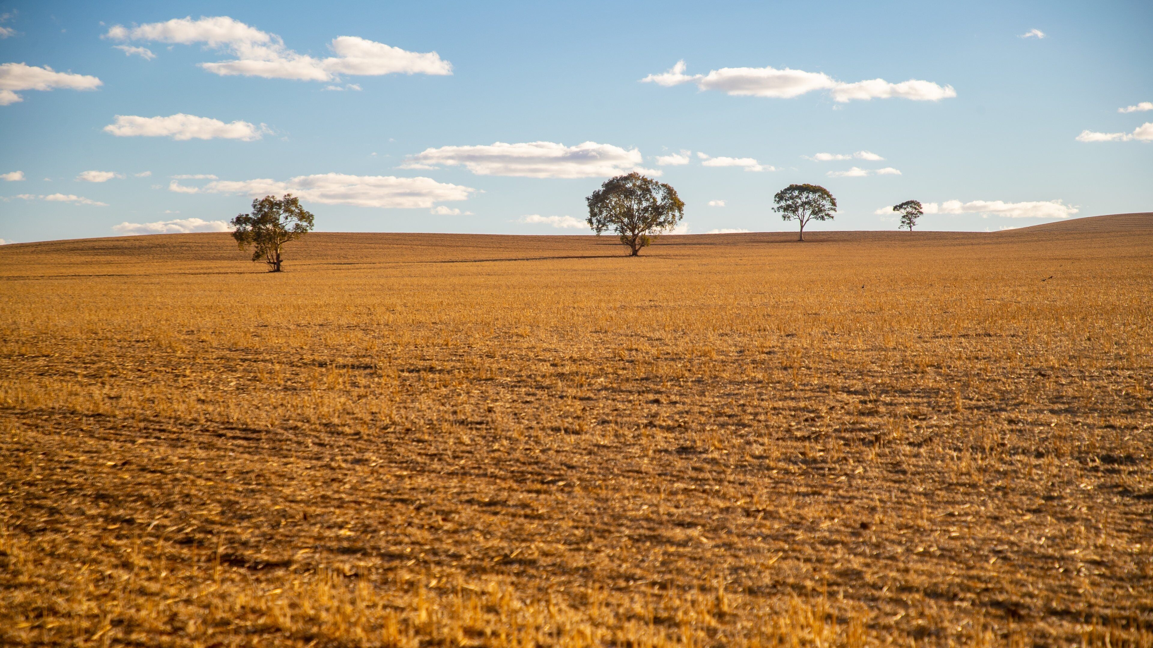 Mintaro featuring tranquil scenes