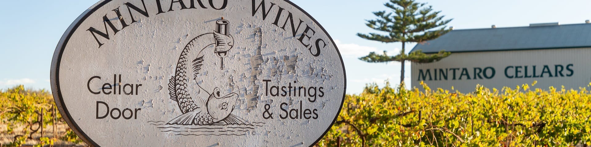 Mintaro showing farmland and signage