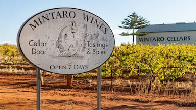 Mintaro showing farmland and signage