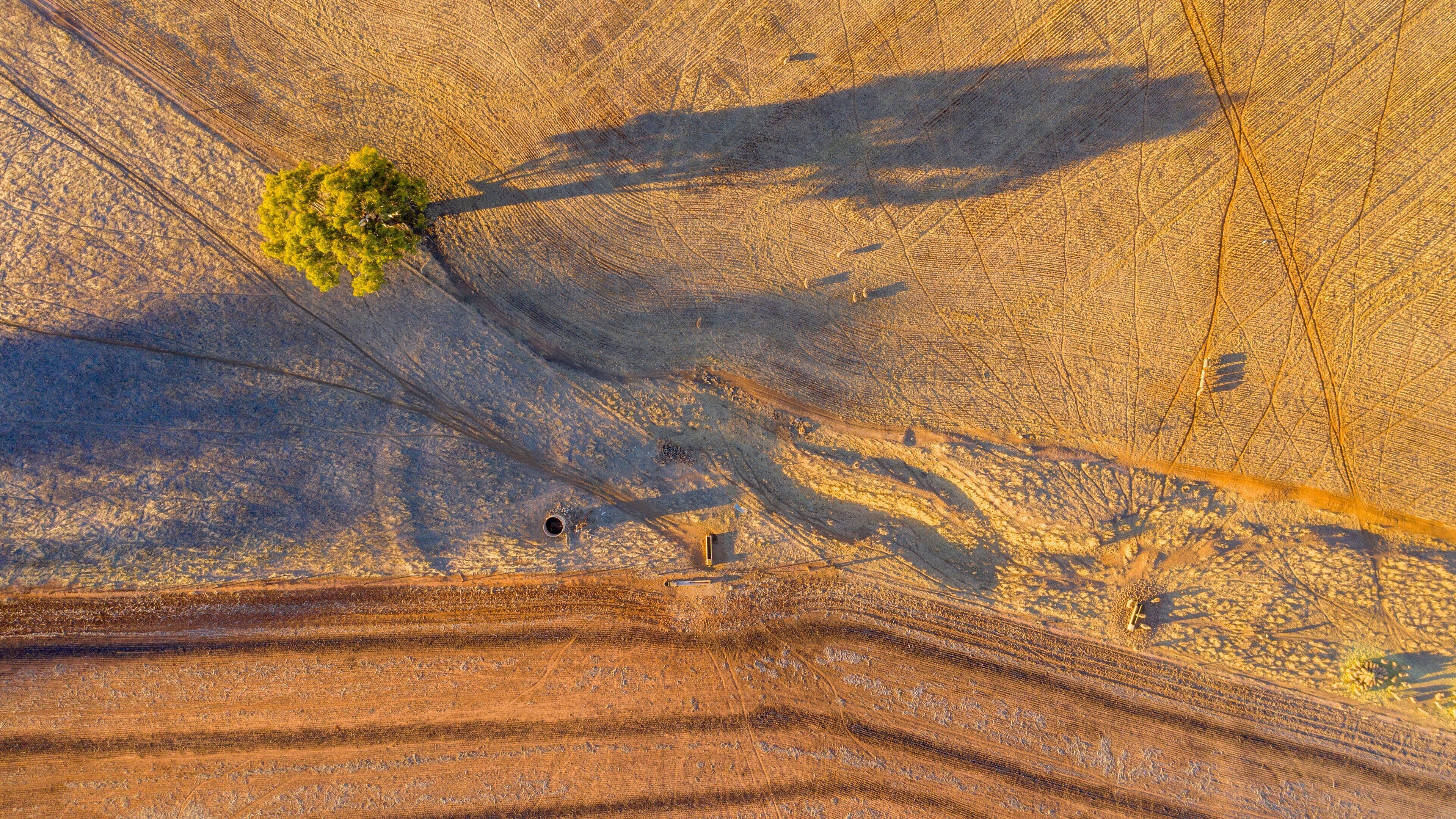 Mintaro showing desert views