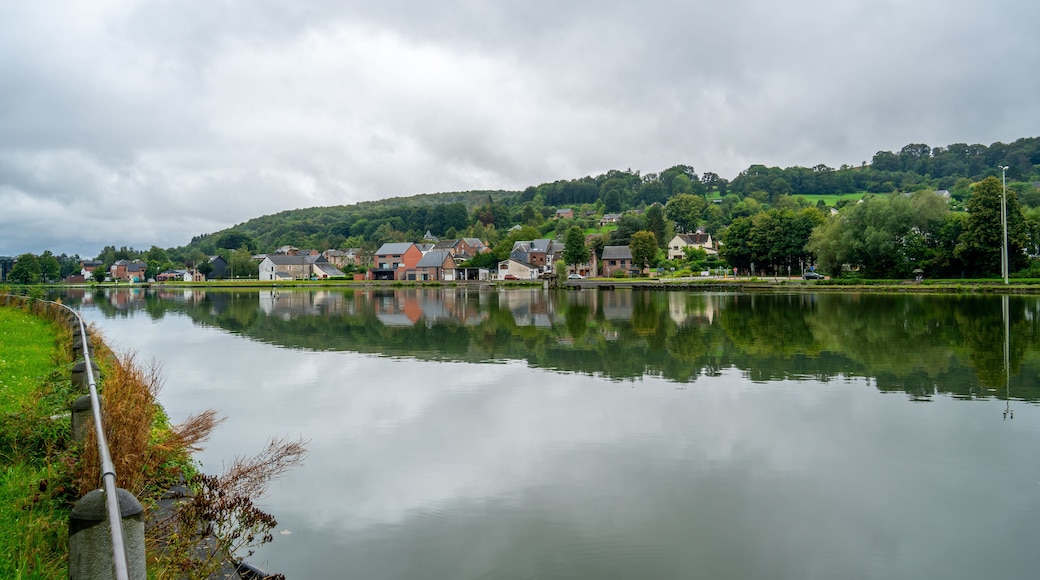 Scene with river Meuse and small village near Hastiere, Belgium