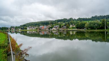 Scene with river Meuse and small village near Hastiere, Belgium