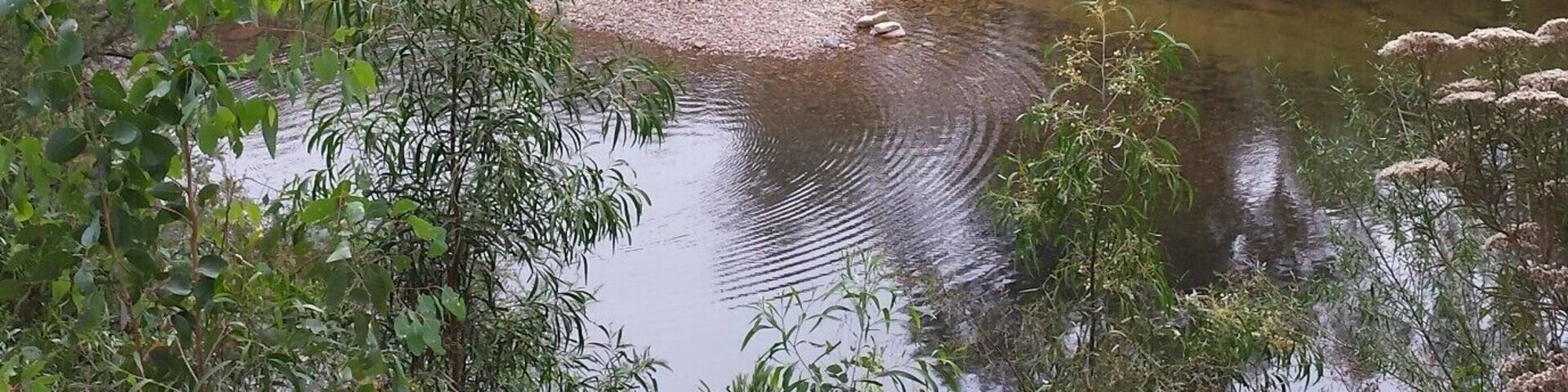 The #Quarries Reserve near #Briagolong in #EastGippsland #Australia. Nice little swimming hole in the foothills of the #mountains
www.wyldfamilytravel.com