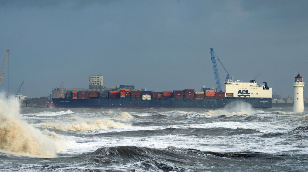 Container ship Atlantic Compass in New Brighton
