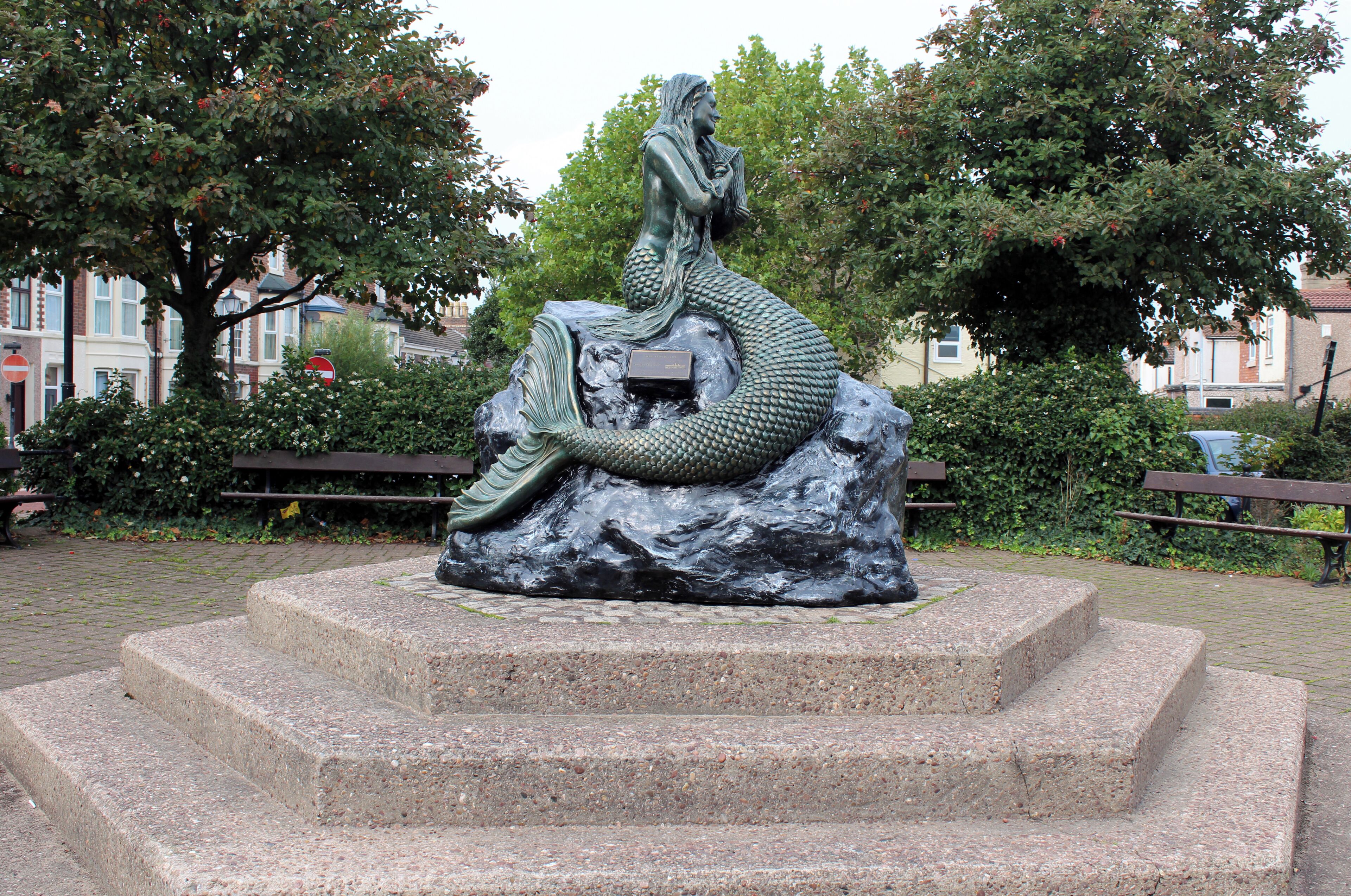 Side view showing tail