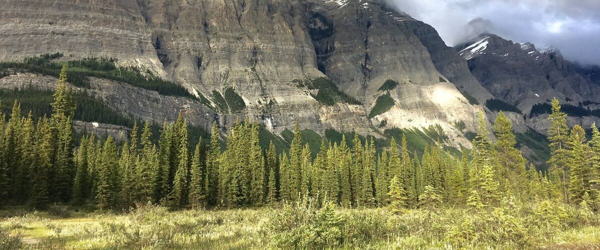 A mountain range with dense forests at its base.
