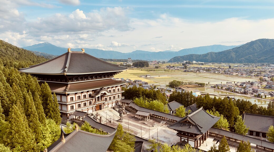 Katsuyama Seidaiji Temple
