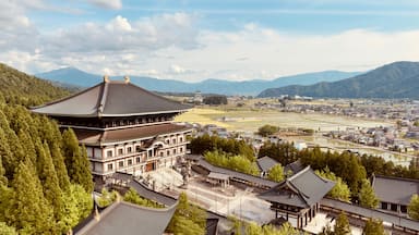 Katsuyama Seidaiji Temple
