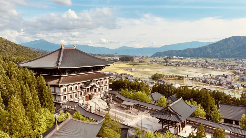 A traditional Japanese temple complex surrounded by lush greenery and rice paddies.