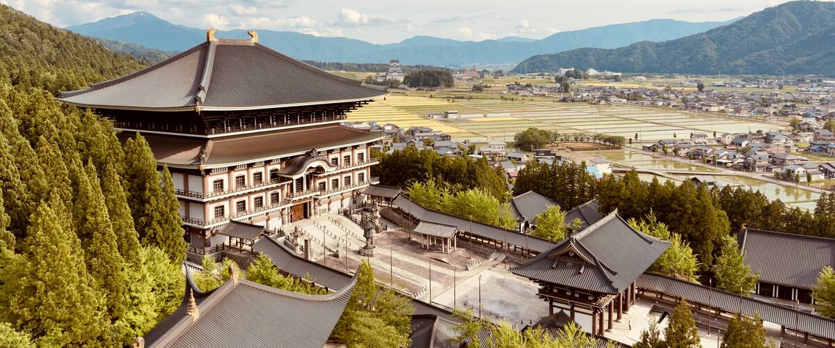 A traditional Japanese temple complex surrounded by lush greenery and rice paddies.
