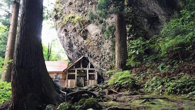 Hidden away on a dead end road surrounded by rice fields is a forgotten shrine. Overgrown and being overtaken by boulders and moss, you will definitely feel like you walked into a Ghibli movie.
#endlesssummer