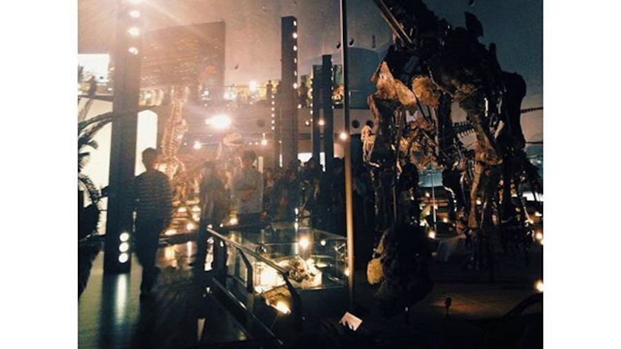 Fukui dinosaur museum. #dinosaur #Fukui #Japan #福井 #museum