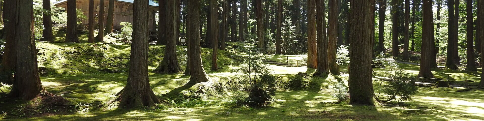 Heisenji Hakusan Shrine in Fukui
