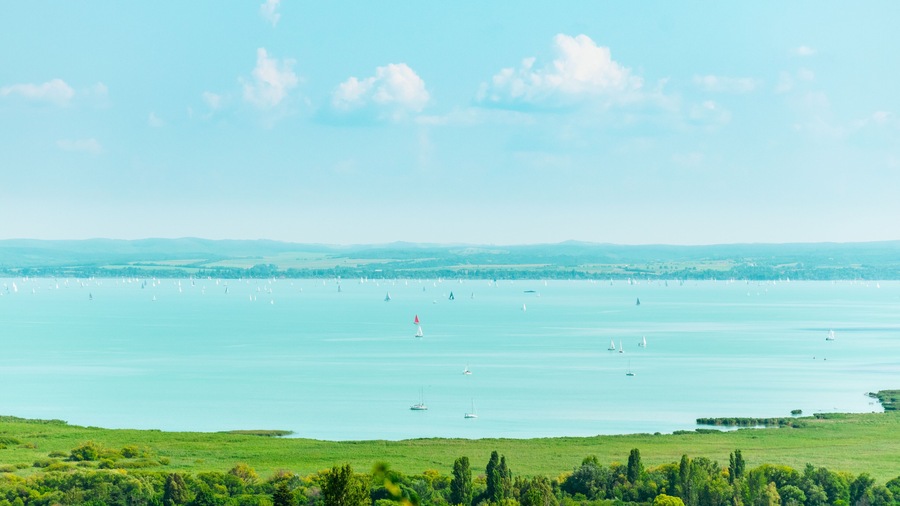 Paisagem costeira com um vasto corpo de água, veleiros e campos verdes.