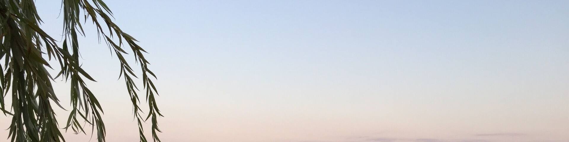 Lovely lakeside restaurant