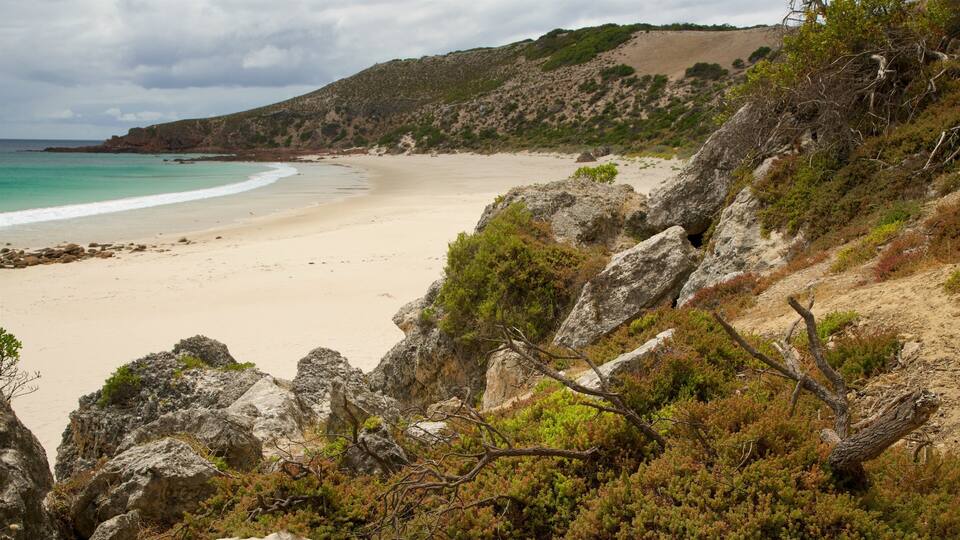 A coastal landscape with a sandy beach, rocky outcrops, and sparse vegetation.